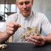 Ugears Modellbausatz Stegosaurus