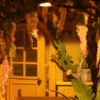 Rolife Gartenhaus | Diorama |