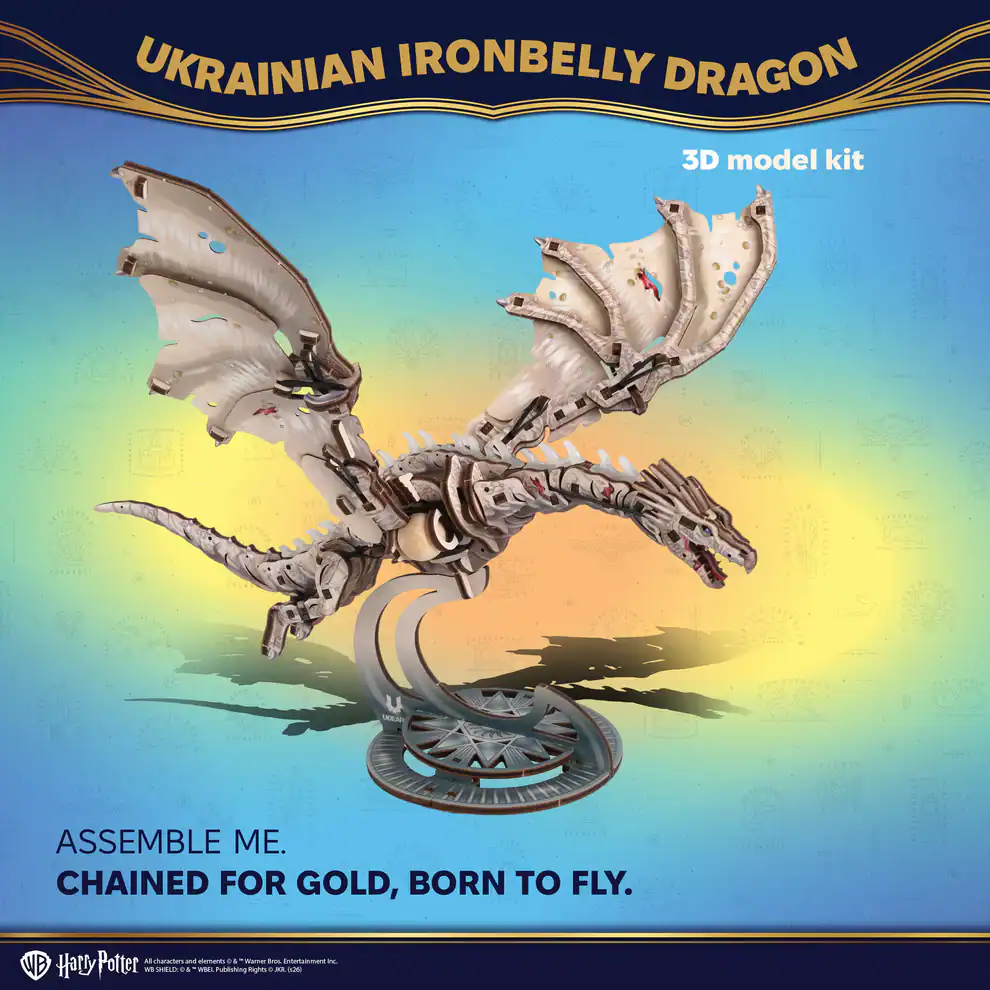 IronDragon_infografics